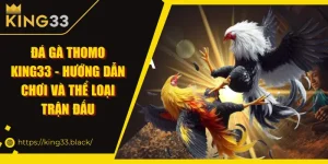 Đá gà Thomo – đấu trường rực lửa nơi biên giới Việt – Campuchia.